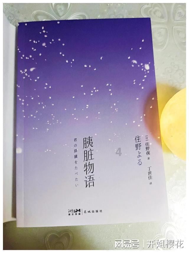 芭比的大学之旅