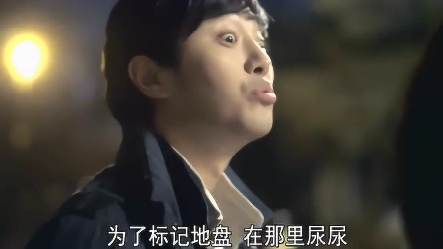 怎么追天蝎座女生